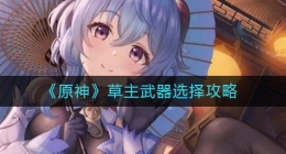 原神草主带什么武器好(草主武器选择攻略)