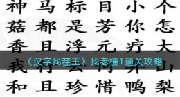 汉字找茬王找老梗1攻略图文(找出曾经的老梗1怎么过关抖音小游戏)