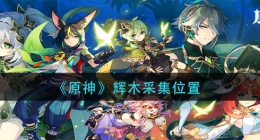 原神辉木在哪里(辉木采集位置)