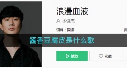酱香豆腐皮是什么歌(无论菜酒还是老鸡，无论再远还是广西是什么歌)