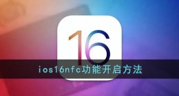 ios16nfc怎么开(苹果ios16nfc功能开启方法)