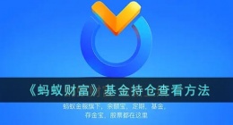 蚂蚁财富怎么看基金持仓(蚂蚁财富基金持仓查看方法)