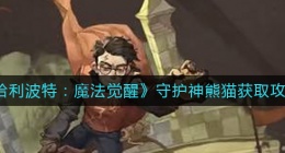 哈利波特魔法觉醒守护神熊猫怎么获得(守护神熊猫获取攻略)