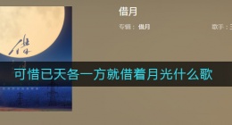 可惜已天各一方就借着月光什么歌(可惜已天各一方就借着月光再与你对望歌词)