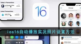 苹果怎么自动播放实况(ios16自动播放实况照片设置方法)