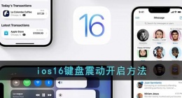 ios16键盘震动怎么开(ios16键盘震动开启方法)