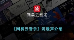 网易云沉浸模式什么意思(网易云音乐沉浸声介绍)