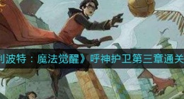 哈利波特魔法觉醒呼神护卫第三章怎么过(呼神护卫第三章通关攻略)