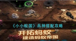小小蚁国兵种怎么搭配(兵种搭配攻略)
