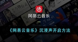 网易云沉浸模式在哪里(网易云音乐沉浸模式怎么开)