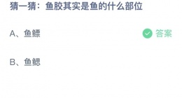 支付宝蚂蚁庄园2022年9月26日答案更新(鱼胶其实是鱼的什么部位？)