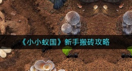 小小蚁国怎么搬砖(新手搬砖攻略)