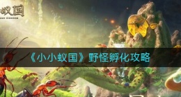 小小蚁国野怪怎么孵化(小小蚁国野怪孵化攻略)