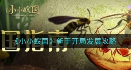 小小蚁国新手开局怎么发展(新手开局发展攻略)