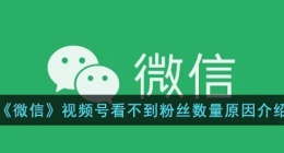 微信视频号看不到粉丝数量怎么回事(微信视频号看不到粉丝数量原因介绍)