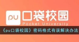 pu口袋校园密码格式有误怎么办(pu口袋校园密码格式一直错误解决办法)