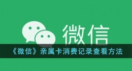 微信亲属卡消费明细怎么看(微信亲属卡消费记录查看方法)