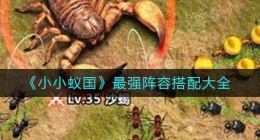 小小蚁国最强阵容怎么搭配(最强阵容搭配大全)