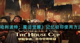 哈利波特魔法觉醒记忆初印怎么用(记忆初印使用方法)