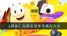 闲鱼自提的话发货单号怎么填(闲鱼自提怎么填发货)