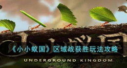小小蚁国最强区域战怎么玩(小小蚁国区域战获胜玩法攻略)