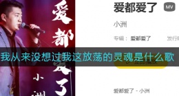我从来没想过我这放荡的灵魂是什么歌(我从来没想过我这放荡的灵魂歌词)