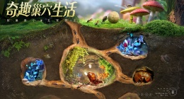 小小蚁国怎么提高带兵量(小小蚁国带兵量增加方法)