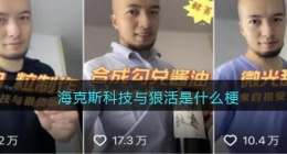 海克斯科技与狠活是什么梗(海克斯科技与狠活儿是什么意思)