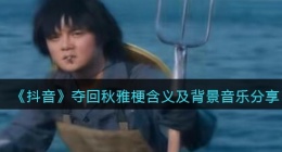 夺回秋雅是什么意思(抖音夺回秋雅背景音乐叫什么歌名)