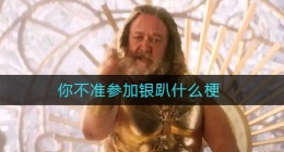 你不准参加银趴什么梗(你不准参加银趴出处)