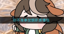 你不准参加银趴表情包(你不准参加银趴什么梗)