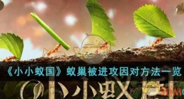 小小蚁国蚁巢被进攻怎么办(蚁巢被进攻因对方法一览)