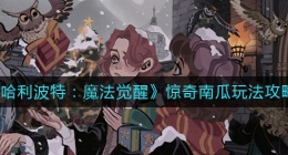 哈利波特魔法觉醒惊奇南瓜怎么玩(惊奇南瓜玩法攻略)