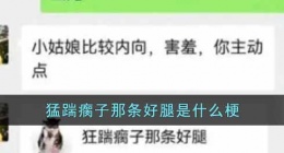 猛踹瘸子那条好腿是什么梗(猛踹瘸子那条好腿梗含义出处)