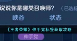 王者荣耀伸手党标签怎么获得(伸手党标签获取攻略)