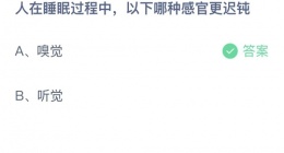 支付宝蚂蚁庄园2022年10月15日答案更新(人在睡眠过程中_以下哪种感官更迟钝)