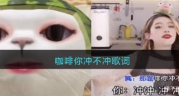 咖啡你冲不冲歌词是什么歌(咖啡你冲不冲bgm)