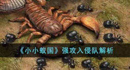 小小蚁国强攻入侵队怎么样(强攻入侵队解析)