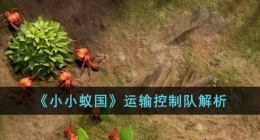 小小蚁国运输控制队怎么样(运输控制队解析)