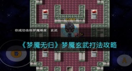梦魇无归梦魇玄武怎么打(梦魇玄武打法攻略)