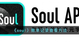 soul怎么查账单(soul账单记录查看方法)