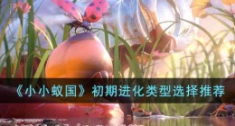 小小蚁国初期进化类型怎么选择(初期进化选择类型推荐)