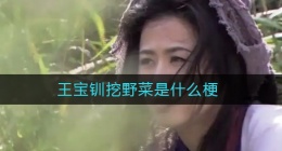 王宝钏挖野菜是什么梗(王宝钏挖野菜什么意思)