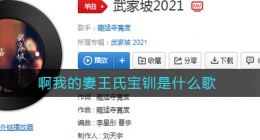 啊我的妻王氏宝钏是什么歌(啊我的妻王氏宝钏歌词)
