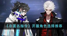 非匿名指令开服角色怎么选择(非匿名指令开服角色选择推荐)