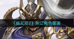 极无双2张辽怎么样(张辽角色图鉴)