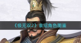 极无双2袁绍怎么样(极无双2袁绍角色详情)