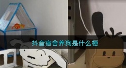 抖音宿舍养狗是什么梗(抖音宿舍养狗是真的吗)