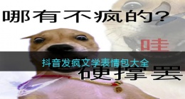 抖音发疯文学表情包大全(抖音发疯文学表情包图片)