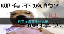 抖音发疯文学什么梗(抖音发疯文学什么意思含义出处)